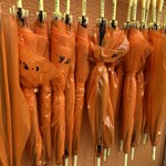 佐賀ラーメン いちげん。 - 