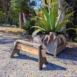 The Seeds - 駐車場