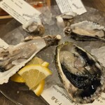 Oysterbar&Wine BELON - 