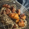 炭火ホルモン焼肉 ひゃくてん 溝の口