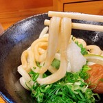 堺うどん ちはや - 