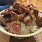 炭火ホルモン焼肉 ひゃくてん 溝の口 - 