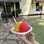 Matsumoto Shave Ice - 