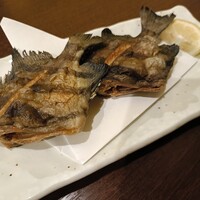 口コミ一覧 : OtotoDining Bou （オトトダイニング ボウ） - 西八王子