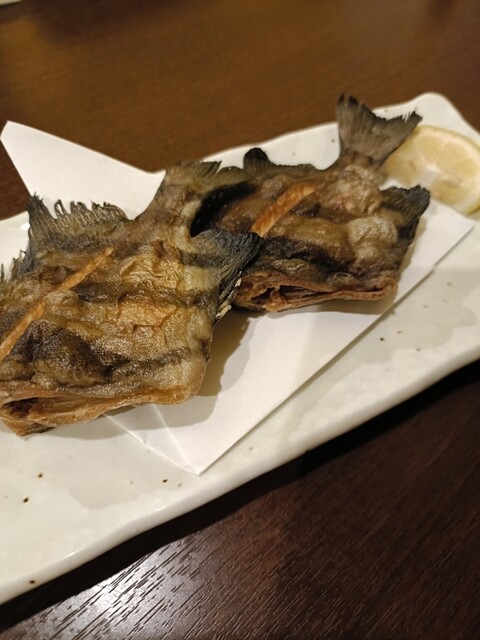 OtotoDining Bou （オトトダイニング ボウ）のご予約 - 西八王子