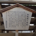 パティスリーメリクリ - 2014/11/6　メリクリのすぐ近く（小金井街道沿い）の立札。白龍欅の由来