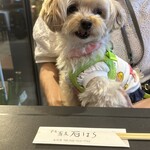 蕎麦 石はら 立川店 - 