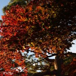 翠嵐ラグジュアリーコレクションホテル京都 - 