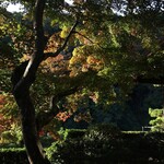 翠嵐ラグジュアリーコレクションホテル京都 - 