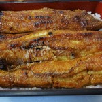 炭焼うなぎ 加茂 - 私が頂いた「うな重・特上・肝吸・漬物」4,000円（税込）は、鰻1.5匹を使用しています。なんと、ご飯の上に半切れが3枚ものっています。