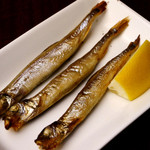 Bochibochi - 