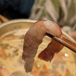 貝バル Baccanale - 