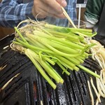 ジンギスカン羊はち 三軒茶屋店 - 