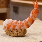 鮨 冨味 - 車海老