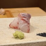 鮨 冨味 - 真ハタの刺身