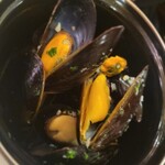 ベルジアンブラッスリーコート バレル - 