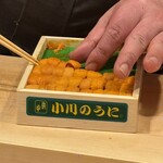 鮨 冨味 - 小川のうに