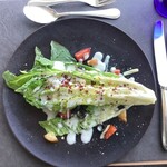 ステーキ＆シーフード ボストン - ロメインレタスの焼きサラダ　広島レモンのシーザードレッシング