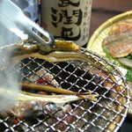 炙りや 楽蔵 - 