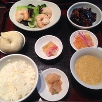 雪梅花 菜根譚 - 