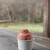 あかいがわジェラート - 料理写真:ストロベリー