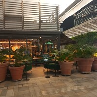 Osteria IL VIAGGIO - 