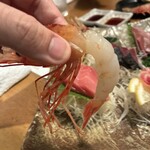 炭火原始焼と蔵元焼酎の店 のどぐろの中俣 - 