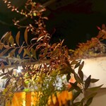 個室居酒屋 だるま - 