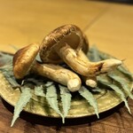 宮川町ほった - 松茸