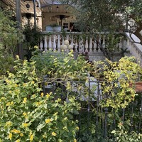 表参道バンブー - 