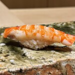 鮨 まつうら - 車海老