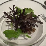 レストラン オオツ - 