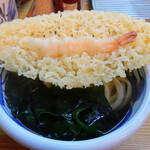 手打うどん 渡辺 - 