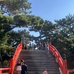 住吉菓庵 喜久寿 - 