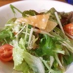 タケヤ食堂 - カレーに付いてるサラダ(2014・11)