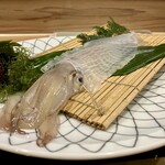 玄海肴処旬風 - ヤリイカの活け造り