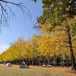 ガトー・プーリア - おまけ つくば科学万博記念公園。つくばは道路も広い。公園も広くて沢山ある。気持ちのいい街つくば。