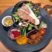 メルモーゾ ダ ドロカワ - 