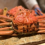 料理屋 みや﨑 - 