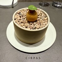 CIRPAS - 