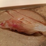 鮨 銀座 おのでら - 真鯛昆布締め