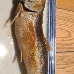 炭劇場 徳永座 - 