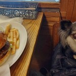 シェリーズバーガーカフェ - 