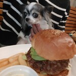 シェリーズバーガーカフェ - 