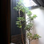 ダイダン～エン～ - 