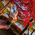 喫茶 蓼科アイス - うっとりの秋景と可愛いアイス♡