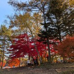 喫茶 蓼科アイス - 癒やされます