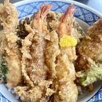天ぷらふく西 禅と匠 - 天丼