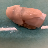 鮨おにかい＋1 - 