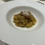 マッシュルーム - タマゴタケとホタテのリゾット